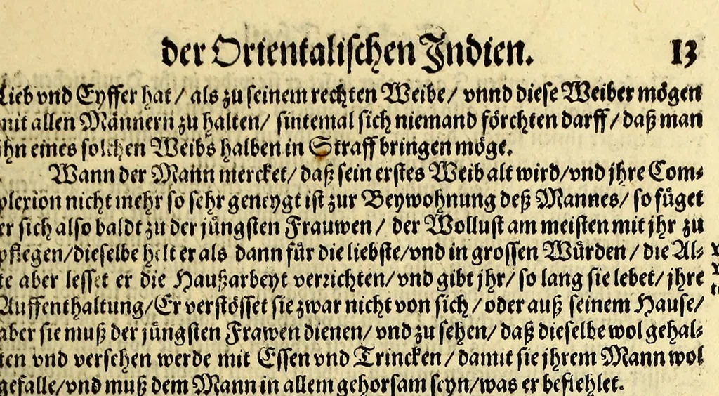 An illustration from Sechster Theil der Orientalischen Indien, Warhafftige historische Bechreibung dess gewaltigen Goltreichen Königreichs Guinea, sonst das Goltgestatt von Mina genandt, so in Africa gelegen, : sampst derselben gantzen Beschaffenheit, auch Religion vnnd Opinion, Sitten vnd Sprachen, Handel vnd Wandel der Eywohner daselbst, beneben einer kurtzen Erzelung, was die Schiffe, so dahin fahren wollen, für einen Lauff durch die Canarische Inseln, biss an das Cabo de Trespunctas, da das Goltgestatt sich anfänget, halten müssen., 1603, leaf 29