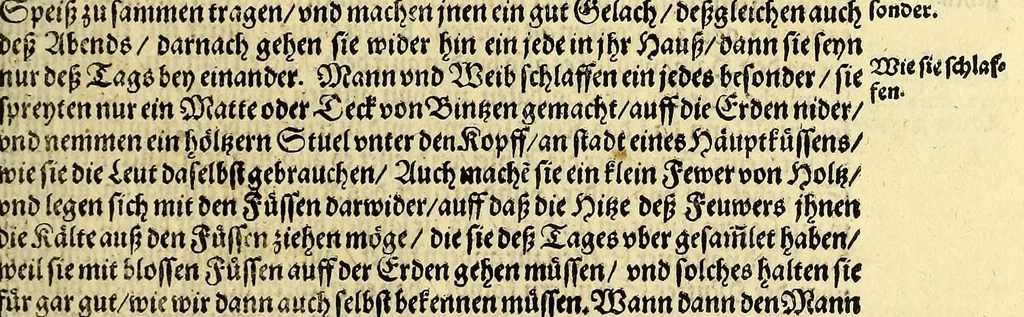An illustration from Sechster Theil der Orientalischen Indien, Warhafftige historische Bechreibung dess gewaltigen Goltreichen Königreichs Guinea, sonst das Goltgestatt von Mina genandt, so in Africa gelegen, : sampst derselben gantzen Beschaffenheit, auch Religion vnnd Opinion, Sitten vnd Sprachen, Handel vnd Wandel der Eywohner daselbst, beneben einer kurtzen Erzelung, was die Schiffe, so dahin fahren wollen, für einen Lauff durch die Canarische Inseln, biss an das Cabo de Trespunctas, da das Goltgestatt sich anfänget, halten müssen., 1603, leaf 29