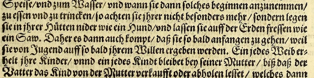An illustration from Sechster Theil der Orientalischen Indien, Warhafftige historische Bechreibung dess gewaltigen Goltreichen Königreichs Guinea, sonst das Goltgestatt von Mina genandt, so in Africa gelegen, : sampst derselben gantzen Beschaffenheit, auch Religion vnnd Opinion, Sitten vnd Sprachen, Handel vnd Wandel der Eywohner daselbst, beneben einer kurtzen Erzelung, was die Schiffe, so dahin fahren wollen, für einen Lauff durch die Canarische Inseln, biss an das Cabo de Trespunctas, da das Goltgestatt sich anfänget, halten müssen., 1603, leaf 31