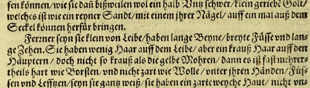An illustration from Sechster Theil der Orientalischen Indien, Warhafftige historische Bechreibung dess gewaltigen Goltreichen Königreichs Guinea, sonst das Goltgestatt von Mina genandt, so in Africa gelegen, : sampst derselben gantzen Beschaffenheit, auch Religion vnnd Opinion, Sitten vnd Sprachen, Handel vnd Wandel der Eywohner daselbst, beneben einer kurtzen Erzelung, was die Schiffe, so dahin fahren wollen, für einen Lauff durch die Canarische Inseln, biss an das Cabo de Trespunctas, da das Goltgestatt sich anfänget, halten müssen., 1603, leaf 34
