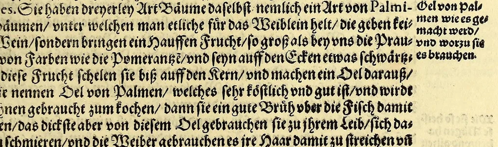 An illustration from Sechster Theil der Orientalischen Indien, Warhafftige historische Bechreibung dess gewaltigen Goltreichen Königreichs Guinea, sonst das Goltgestatt von Mina genandt, so in Africa gelegen, : sampst derselben gantzen Beschaffenheit, auch Religion vnnd Opinion, Sitten vnd Sprachen, Handel vnd Wandel der Eywohner daselbst, beneben einer kurtzen Erzelung, was die Schiffe, so dahin fahren wollen, für einen Lauff durch die Canarische Inseln, biss an das Cabo de Trespunctas, da das Goltgestatt sich anfänget, halten müssen., 1603, leaf 41