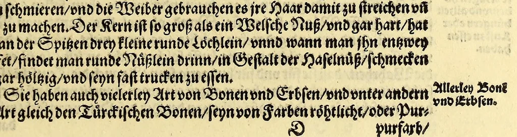 An illustration from Sechster Theil der Orientalischen Indien, Warhafftige historische Bechreibung dess gewaltigen Goltreichen Königreichs Guinea, sonst das Goltgestatt von Mina genandt, so in Africa gelegen, : sampst derselben gantzen Beschaffenheit, auch Religion vnnd Opinion, Sitten vnd Sprachen, Handel vnd Wandel der Eywohner daselbst, beneben einer kurtzen Erzelung, was die Schiffe, so dahin fahren wollen, für einen Lauff durch die Canarische Inseln, biss an das Cabo de Trespunctas, da das Goltgestatt sich anfänget, halten müssen., 1603, leaf 41