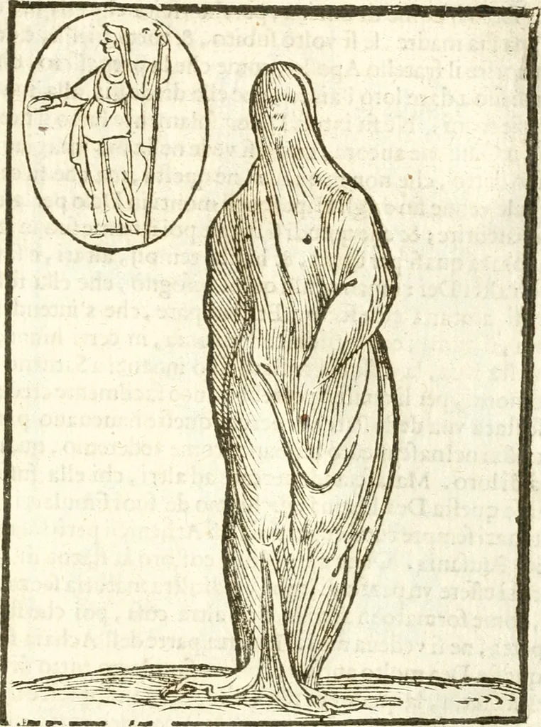 An illustration from Seconda nouissima editione delle Imagini de gli dei delli antichi di Vicenzo Cartari reggiano : ridotte da capo a piedi alle loro reali, & non più per l'adietro osseruate simiglianze : cauate da' marmi, bronzi, medaglie, gioie, & altre memorie antiche : con esquisito studio, & particolare diligenza, 1626, leaf 132