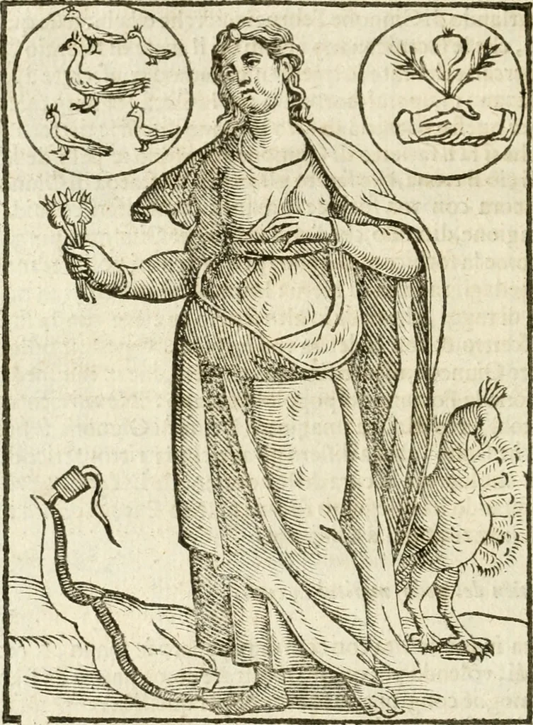 An illustration from Seconda nouissima editione delle Imagini de gli dei delli antichi di Vicenzo Cartari reggiano : ridotte da capo a piedi alle loro reali, & non più per l'adietro osseruate simiglianze : cauate da' marmi, bronzi, medaglie, gioie, & altre memorie antiche : con esquisito studio, & particolare diligenza, 1626, leaf 205