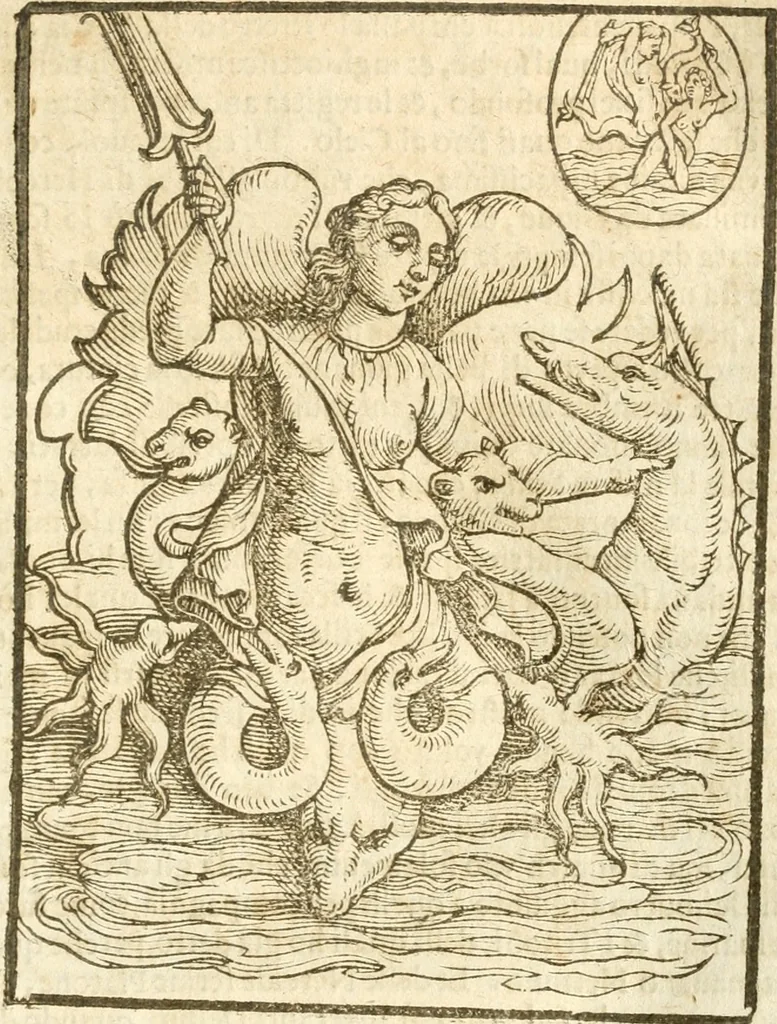 An illustration from Seconda nouissima editione delle Imagini de gli dei delli antichi di Vicenzo Cartari reggiano : ridotte da capo a piedi alle loro reali, & non più per l'adietro osseruate simiglianze : cauate da' marmi, bronzi, medaglie, gioie, & altre memorie antiche : con esquisito studio, & particolare diligenza, 1626, leaf 248