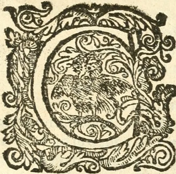 An illustration from Seconda nouissima editione delle Imagini de gli dei delli antichi di Vicenzo Cartari reggiano : ridotte da capo a piedi alle loro reali, & non più per l'adietro osseruate simiglianze : cauate da' marmi, bronzi, medaglie, gioie, & altre memorie antiche : con esquisito studio, & particolare diligenza, 1626, leaf 500