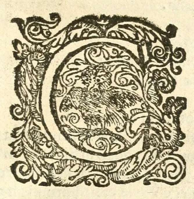 An illustration from Seconda nouissima editione delle Imagini de gli dei delli antichi di Vicenzo Cartari reggiano : ridotte da capo a piedi alle loro reali, & non più per l'adietro osseruate simiglianze : cauate da' marmi, bronzi, medaglie, gioie, & altre memorie antiche : con esquisito studio, & particolare diligenza, 1626, leaf 501