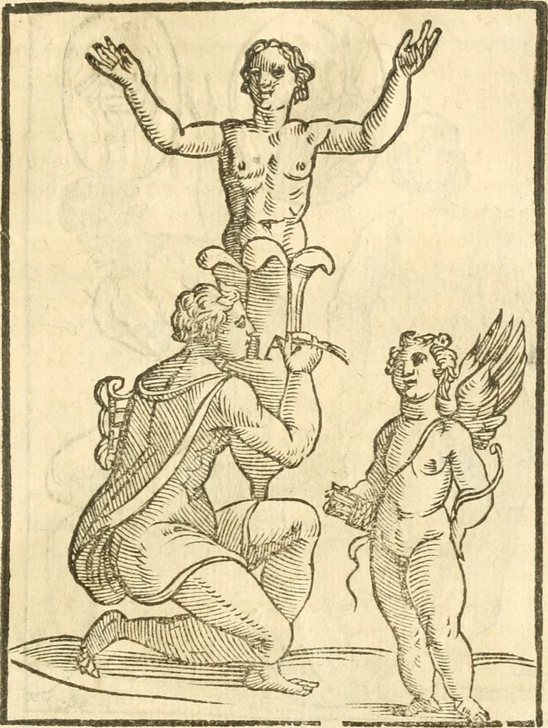 An illustration from Seconda nouissima editione delle Imagini de gli dei delli antichi di Vicenzo Cartari reggiano : ridotte da capo a piedi alle loro reali, & non più per l'adietro osseruate simiglianze : cauate da' marmi, bronzi, medaglie, gioie, & altre memorie antiche : con esquisito studio, & particolare diligenza, 1626, leaf 506