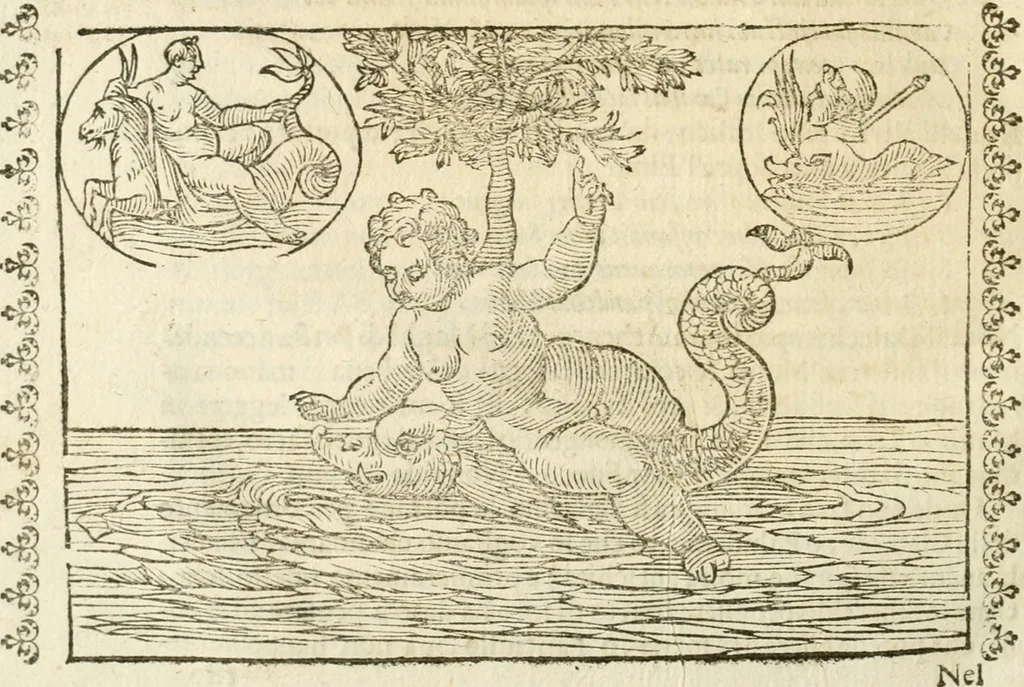 An illustration from Seconda nouissima editione delle Imagini de gli dei delli antichi di Vicenzo Cartari reggiano : ridotte da capo a piedi alle loro reali, & non più per l'adietro osseruate simiglianze : cauate da' marmi, bronzi, medaglie, gioie, & altre memorie antiche : con esquisito studio, & particolare diligenza, 1626, leaf 529