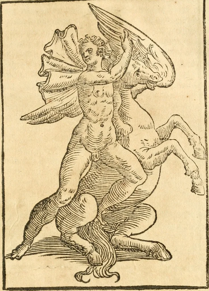 An illustration from Seconda nouissima editione delle Imagini de gli dei delli antichi di Vicenzo Cartari reggiano : ridotte da capo a piedi alle loro reali, & non più per l'adietro osseruate simiglianze : cauate da' marmi, bronzi, medaglie, gioie, & altre memorie antiche : con esquisito studio, & particolare diligenza, 1626, leaf 536