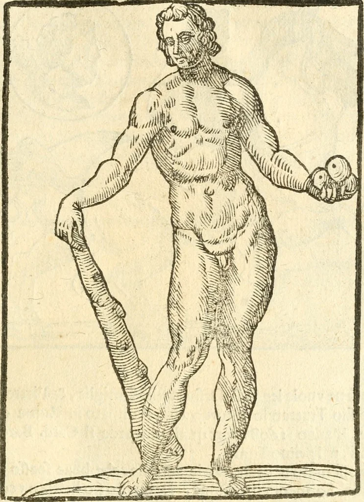 An illustration from Seconda nouissima editione delle Imagini de gli dei delli antichi di Vicenzo Cartari reggiano : ridotte da capo a piedi alle loro reali, & non più per l'adietro osseruate simiglianze : cauate da' marmi, bronzi, medaglie, gioie, & altre memorie antiche : con esquisito studio, & particolare diligenza, 1626, leaf 542