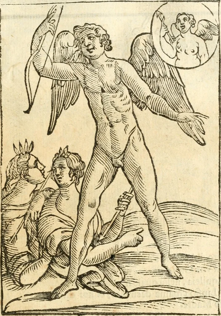 An illustration from Seconda nouissima editione delle Imagini de gli dei delli antichi di Vicenzo Cartari reggiano : ridotte da capo a piedi alle loro reali, & non più per l'adietro osseruate simiglianze : cauate da' marmi, bronzi, medaglie, gioie, & altre memorie antiche : con esquisito studio, & particolare diligenza, 1626, leaf 564