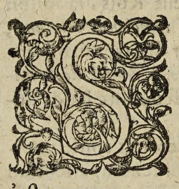An illustration from Second Traicté De La Sovveraineté Dv Roy : Au Roy Tres-Chrestien Loys XIII /, 1615, leaf 3