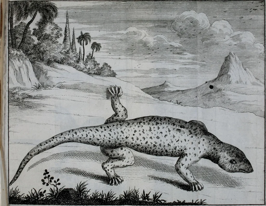 An illustration from Second voyage du père Tachard et des Jésuites envoyez par le roy au royaume de Siam : contenant diverses remarques d'histoire, de physique, de géographie, & d'astronomie, 1689, leaf 274