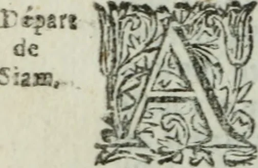 An illustration from Second voyage du père Tachard et des Jésuites envoyez par le roy au royaume de Siam : contenant diverses remarques d'histoire, de physique, de géographie, & d'astronomie, 1689, leaf 301