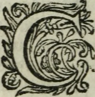 An illustration from Second voyage du père Tachard et des Jésuites envoyez par le roy au royaume de Siam : contenant diverses remarques d'histoire, de physique, de géographie, & d'astronomie, 1689, leaf 53