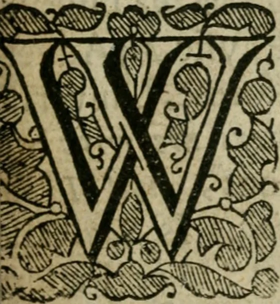 An illustration from The second wash, or, The moore scour'd once more : being a charitable cure for the distractions of Alazonomastix, 1651, leaf 16