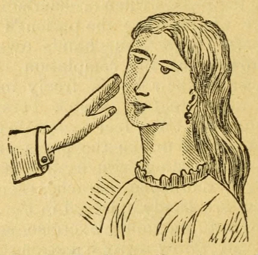 An illustration from The secret book of the black arts : containing all that is known upon the occult sciences of daemonology, spirit rappings, witchcraft, sorcery, astrology, palmistry, mind reading, spiritualism, table turning, ghosts and apparitions, omens, lucky and unlucky signs and days, dreams, charms, divination, second sight, mesmerism, clairvoyance, psychological fascination, etc. ... : together with a mass of other matter, giving inner views of the arts and sciences, whether recondite and obscure, or plain and practical, 1878, leaf 156