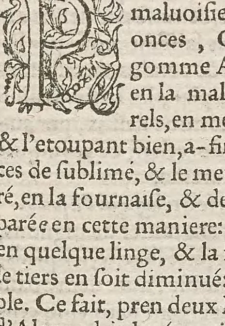 An illustration from Les secrets du S. Alexis Piemontois : divisez en six livres ; ausquels auons adjoint autres secrets de nouueau ... ; & les receptes de divers auteurs .., 1559, leaf 159