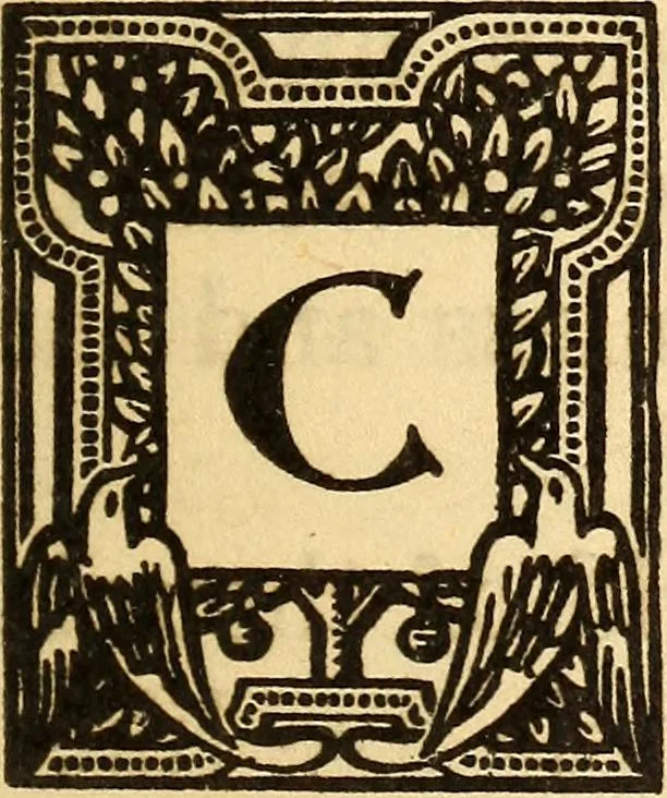 An illustration from Secrets of mental supremacy, 1913, leaf 102