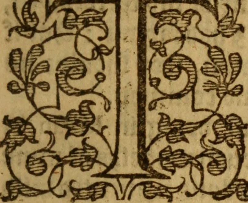 An illustration from The secrets of the reverend Maister Alexis of Piemont : containing excellent remedies against diverse diseases, wounds, and other accidents, with the maner to make distillations, parfumes, confitures, dying, colours, fusions, and meltings ..., 1595, leaf 12