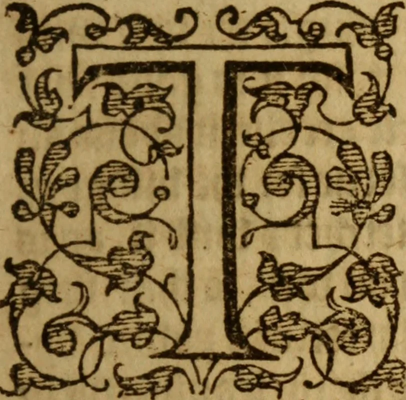An illustration from The secrets of the reverend Maister Alexis of Piemont : containing excellent remedies against diverse diseases, wounds, and other accidents, with the maner to make distillations, parfumes, confitures, dying, colours, fusions, and meltings ..., 1595, leaf 138