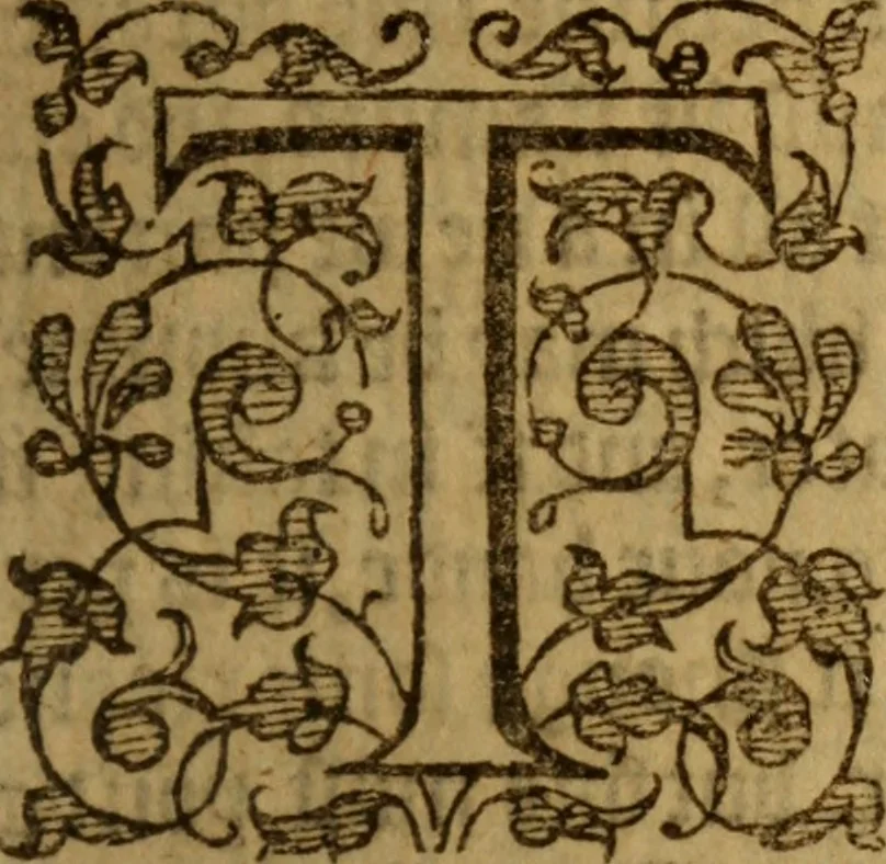 An illustration from The secrets of the reverend Maister Alexis of Piemont : containing excellent remedies against diverse diseases, wounds, and other accidents, with the maner to make distillations, parfumes, confitures, dying, colours, fusions, and meltings ..., 1595, leaf 172