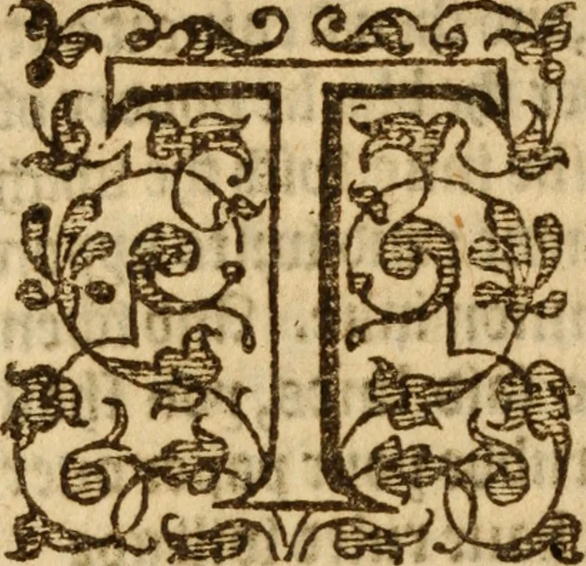 An illustration from The secrets of the reverend Maister Alexis of Piemont : containing excellent remedies against diverse diseases, wounds, and other accidents, with the maner to make distillations, parfumes, confitures, dying, colours, fusions, and meltings ..., 1595, leaf 205