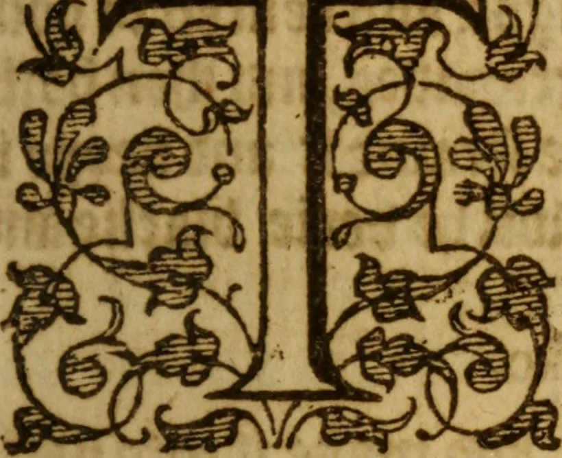 An illustration from The secrets of the reverend Maister Alexis of Piemont : containing excellent remedies against diverse diseases, wounds, and other accidents, with the maner to make distillations, parfumes, confitures, dying, colours, fusions, and meltings ..., 1595, leaf 248