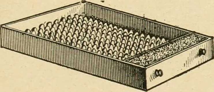 An illustration from Secrets of wise men, chemists and great physicians, 1889, leaf 56