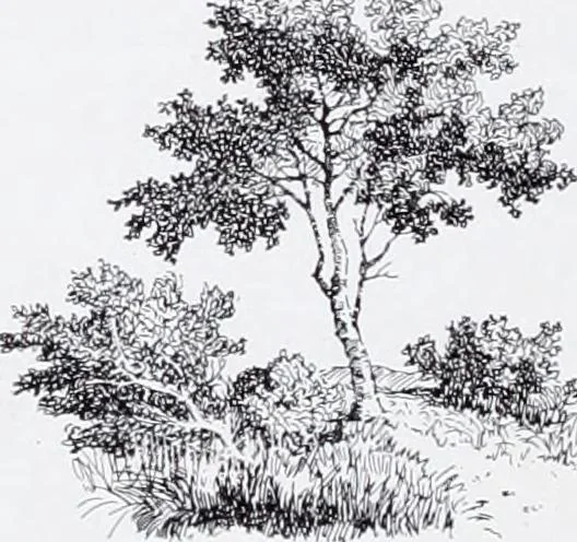 An illustration from Section française (class 84); dentelles, broderies, passementeries et dessins, 1908, leaf 167