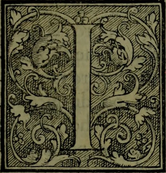 An illustration from Secundo volume delle navigationi et viaggi, 1574, leaf 10