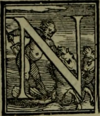 An illustration from Secundo volume delle navigationi et viaggi, 1574, leaf 167
