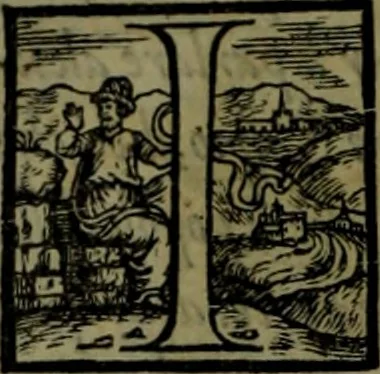 An illustration from Secundo volume delle navigationi et viaggi, 1574, leaf 171