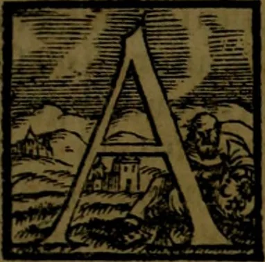 An illustration from Secundo volume delle navigationi et viaggi, 1574, leaf 194