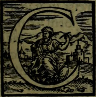 An illustration from Secundo volume delle navigationi et viaggi, 1574, leaf 218