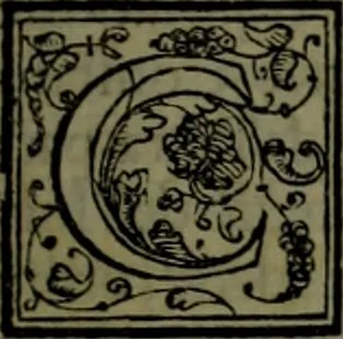 An illustration from Secundo volume delle navigationi et viaggi, 1574, leaf 24