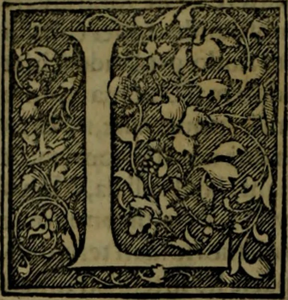 An illustration from Secundo volume delle navigationi et viaggi, 1574, leaf 245