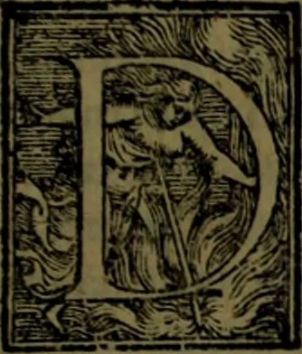 An illustration from Secundo volume delle navigationi et viaggi, 1574, leaf 246