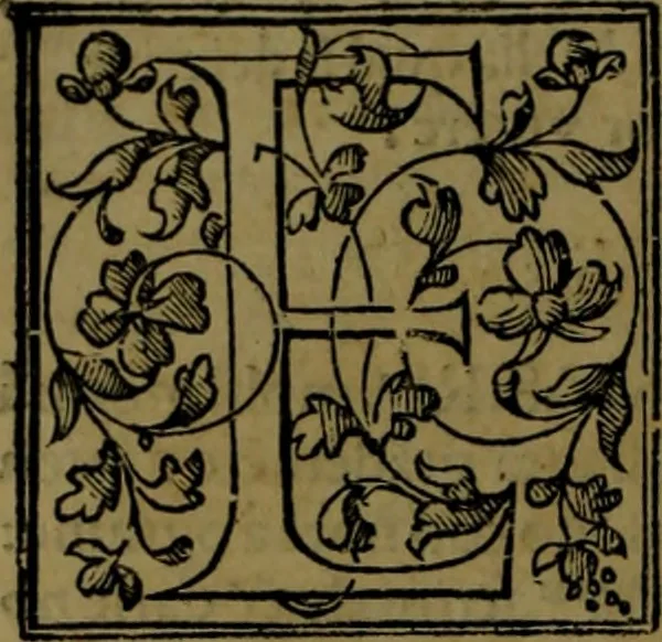 An illustration from Secundo volume delle navigationi et viaggi, 1574, leaf 287