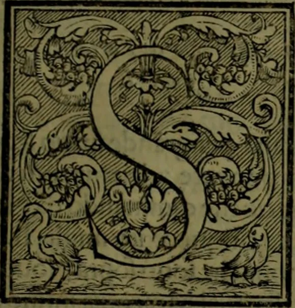 An illustration from Secundo volume delle navigationi et viaggi, 1574, leaf 314