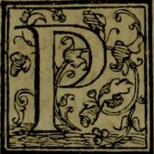 An illustration from Secundo volume delle navigationi et viaggi, 1574, leaf 325