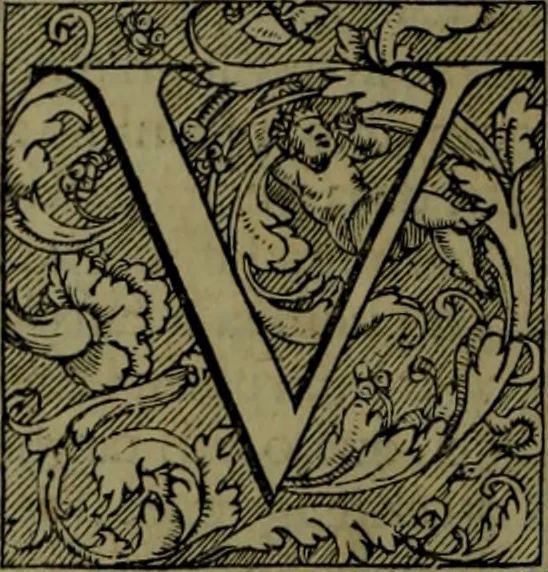 An illustration from Secundo volume delle navigationi et viaggi, 1574, leaf 337