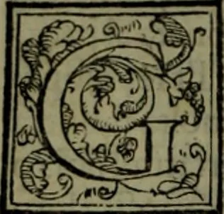 An illustration from Secundo volume delle navigationi et viaggi, 1574, leaf 343