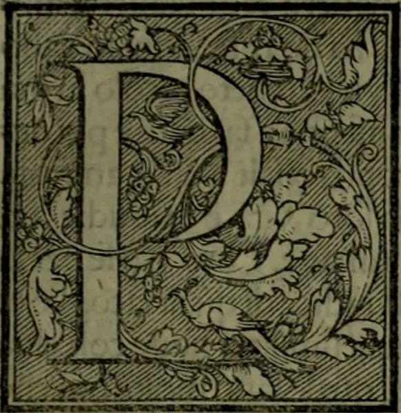 An illustration from Secundo volume delle navigationi et viaggi, 1574, leaf 344