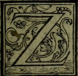 An illustration from Secundo volume delle navigationi et viaggi, 1574, leaf 344