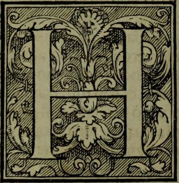 An illustration from Secundo volume delle navigationi et viaggi, 1574, leaf 347