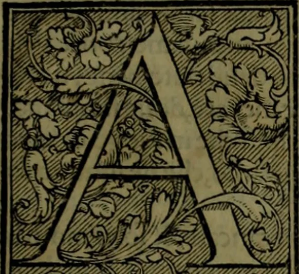 An illustration from Secundo volume delle navigationi et viaggi, 1574, leaf 350