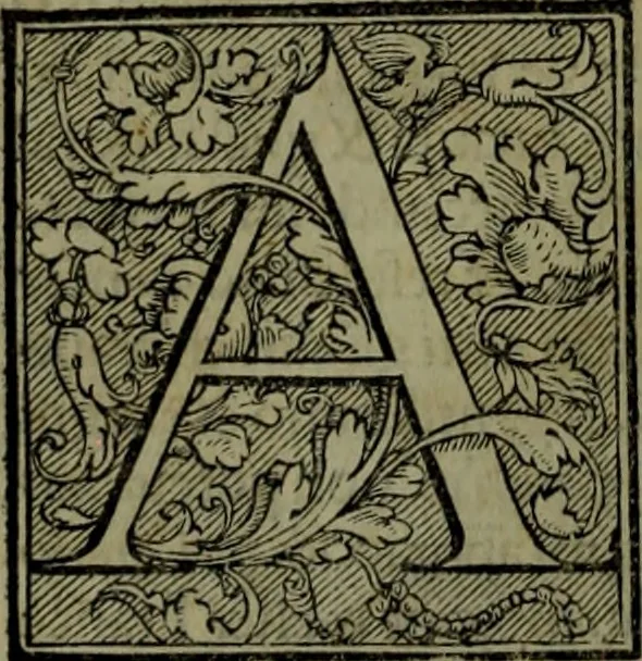 An illustration from Secundo volume delle navigationi et viaggi, 1574, leaf 363