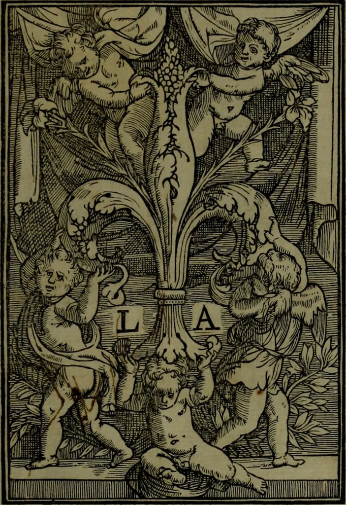 An illustration from Secundo volume delle navigationi et viaggi, 1574, leaf 374
